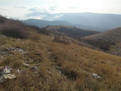 Прикрепленное изображение: IMG_20211107_152853.jpg